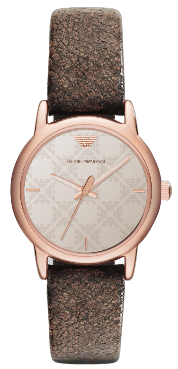 Zegarek męski Emporio Armani AR1813